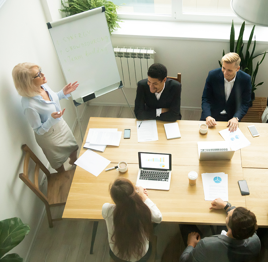 Uitvoer en sturing van projecten